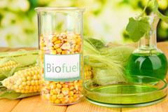 Bruray biofuel availability